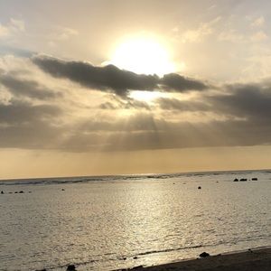 Meet your Posher, Shari